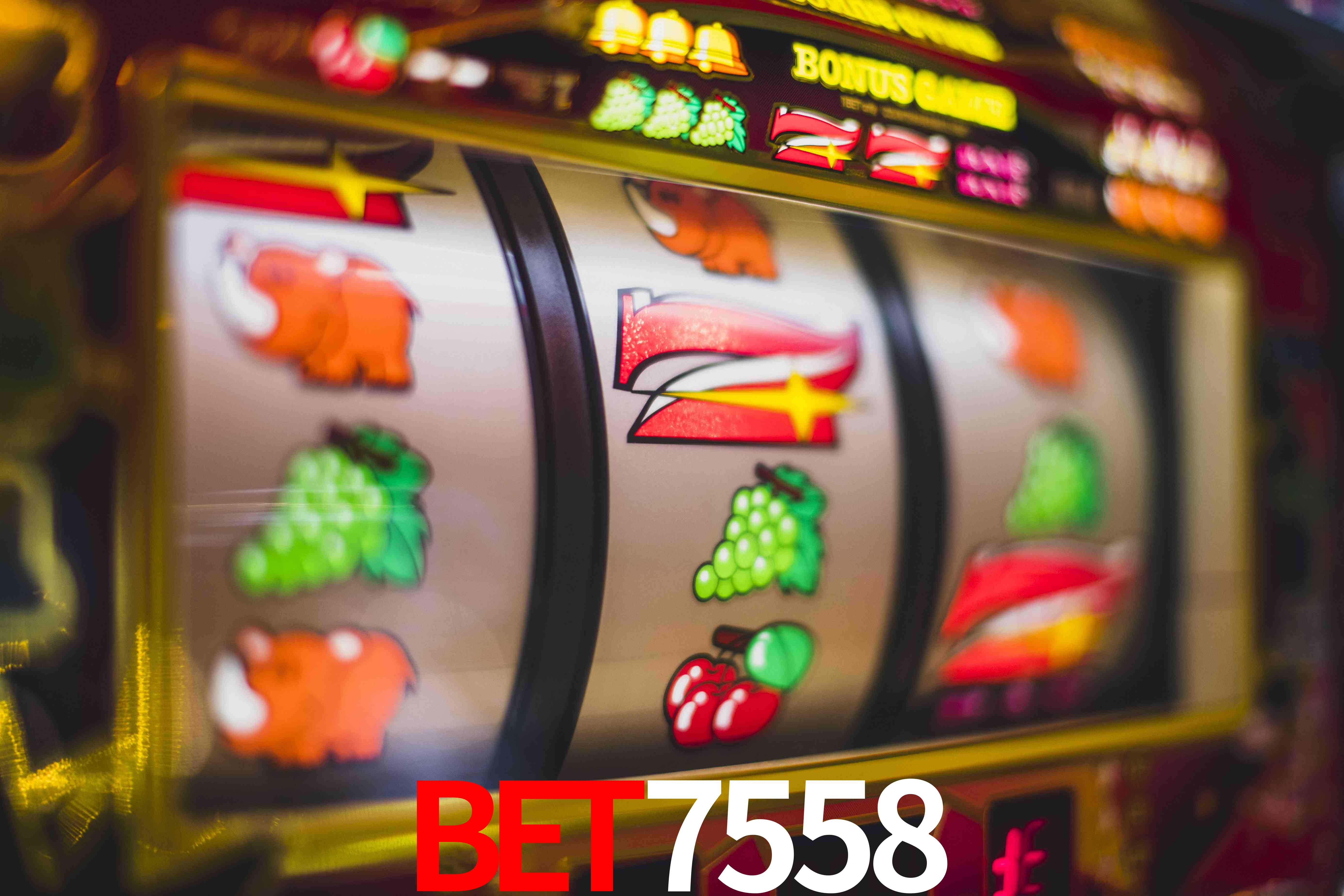 Bet7558 bet